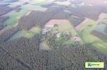 Land Kamerun – Das Hundeparadies - Top-Hundeurlaub