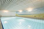 Pool - Süderhof App. 14 - Top-Hundeurlaub