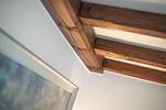 Dekoratives Detail - Sharky Bay - Top-Hundeurlaub