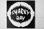 Dekoratives Detail - Sharky Bay - Top-Hundeurlaub