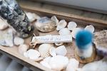 Dekoratives Detail - Haus Coordes Wohnung 1 - Top-Hundeurlaub