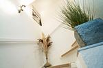 Dekoratives Detail - SyltOase - Top-Hundeurlaub