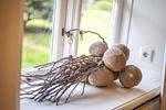 Dekoratives Detail - Seepferdchen - Top-Hundeurlaub