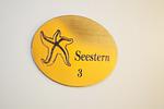 Dekoratives Detail - Seestern Keitum - Top-Hundeurlaub