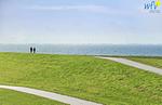 Meerblick - Ferienwohnung 11 - Top-Hundeurlaub