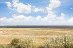 Meerblick - Traumblick Sylt - Top-Hundeurlaub