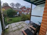 Terrasse - Whg. 4 - Top-Hundeurlaub