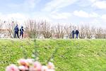 Gartenblick - Ferienwohnung Hafenschlösschen Büsum - Top-Hundeurlaub