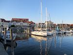 Bodensee - Ferienwohnung Strandgut - Top-Hundeurlaub