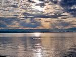 Bodensee - Ferienwohnung Strandgut - Top-Hundeurlaub