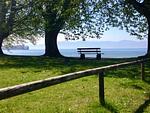 Natur - Ferienwohnung Strandgut - Top-Hundeurlaub