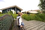 Steg - Ferienhaus Jette - Top-Hundeurlaub
