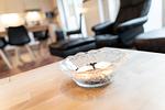Dekoration - Ferienhaus Austernfischer - Top-Hundeurlaub