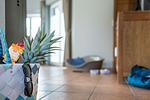 Dekoration - Ferienhaus Seebär - Top-Hundeurlaub