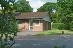 Außenansicht - Ferienhaus Seestern I - Top-Hundeurlaub