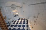 Badezimmer mit Blick in die Sauna - Ferienhaus Trio - Top-Hundeurlaub