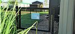 Cube Elite Estel mit Dachterrasse und Zaun Haus Nr. 337 - Top-Hundeurlaub