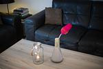 Dekoratives Detail - Willms Living, Ocean - Top-Hundeurlaub