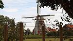 Blick auf Sehenswürdigkeit - Ferienwohnung Berdumer Mühlenblick - Top-Hundeurlaub