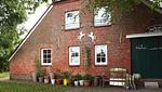 Hauptansicht - Ferienwohnung Berdumer Mühlenblick - Top-Hundeurlaub