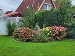 Ferienhaus Leentje - Top-Hundeurlaub