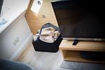 Dekoratives Detail - Willms Living, Sky - Top-Hundeurlaub