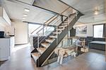 Wohnzimmer - Willms Living, Long Beach House - Top-Hundeurlaub