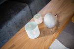 Dekoratives Detail - Willms Living, Long Beach House - Top-Hundeurlaub