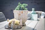 Dekoratives Detail - Willms Living, Long Beach House - Top-Hundeurlaub