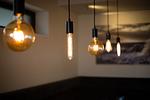 Dekoratives Detail - Willms Living, Long Beach House - Top-Hundeurlaub