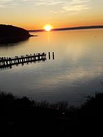 Ferienwohnung Faxe - Top-Hundeurlaub