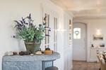 Dekoratives Detail - Haus am Strand, Beachfront - Top-Hundeurlaub