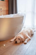 Südtirol Chalets Valsegg - Top-Hundeurlaub