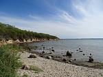 Strand - An Haben - Top-Hundeurlaub