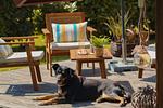 Terrasse - Ferienhaus Kiek in Glücksburg - Top-Hundeurlaub