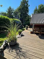 Terrasse - Ferienhaus Kiek in Glücksburg - Top-Hundeurlaub