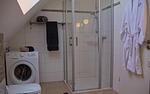 Inselblume 09 - Ferienwohnung an der Reiterkoppel auf Fehmarn - Top-Hundeurlaub