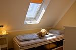 Inselblume 09 - Ferienwohnung an der Reiterkoppel auf Fehmarn - Top-Hundeurlaub