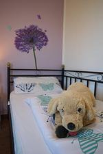 Inselblume 22 - Ferienhaus mit Garten und Hund in Landkirchen - Top-Hundeurlaub