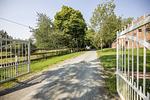 Garten - FeWo 03: Terrasse,Sauna,Schwimmbad - Top-Hundeurlaub