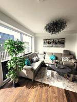 Winterberg Appartement 21128 - Top-Hundeurlaub