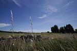 Landschaft - Häuschen: Terrasse, Ausblick - Top-Hundeurlaub