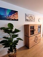 Winterberg Appartement 21129 - Top-Hundeurlaub