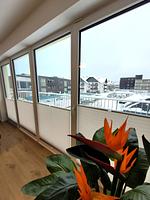 Winterberg Appartement 21129 - Top-Hundeurlaub
