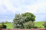 Landschaft - FeWo Entennest - Horumersiel - Top-Hundeurlaub