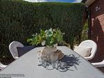 Terrasse - Caro Hus - Carolinensiel - Top-Hundeurlaub