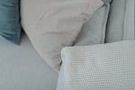 Dekoratives Detail - B01 - Top-Hundeurlaub