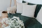 Dekoratives Detail - B02 - Top-Hundeurlaub