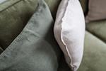 Dekoratives Detail - B08 - Top-Hundeurlaub