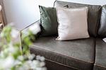 Dekoratives Detail - B10 - Top-Hundeurlaub